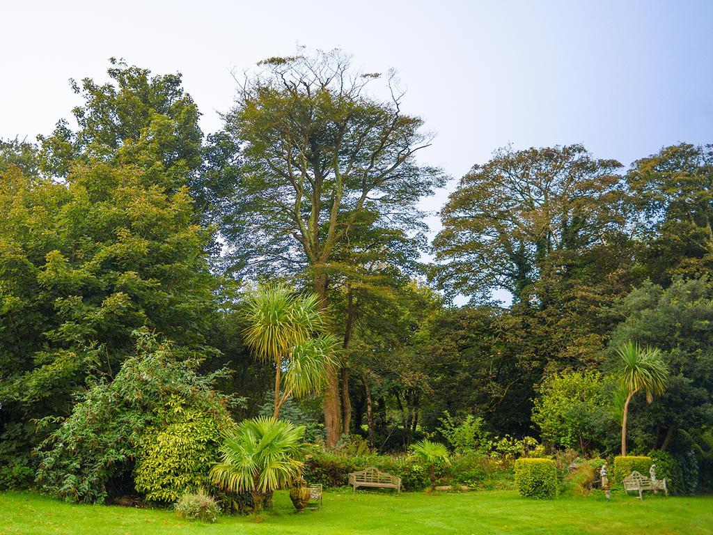 Penventon Park Hotel Redruth Eksteriør bilde
